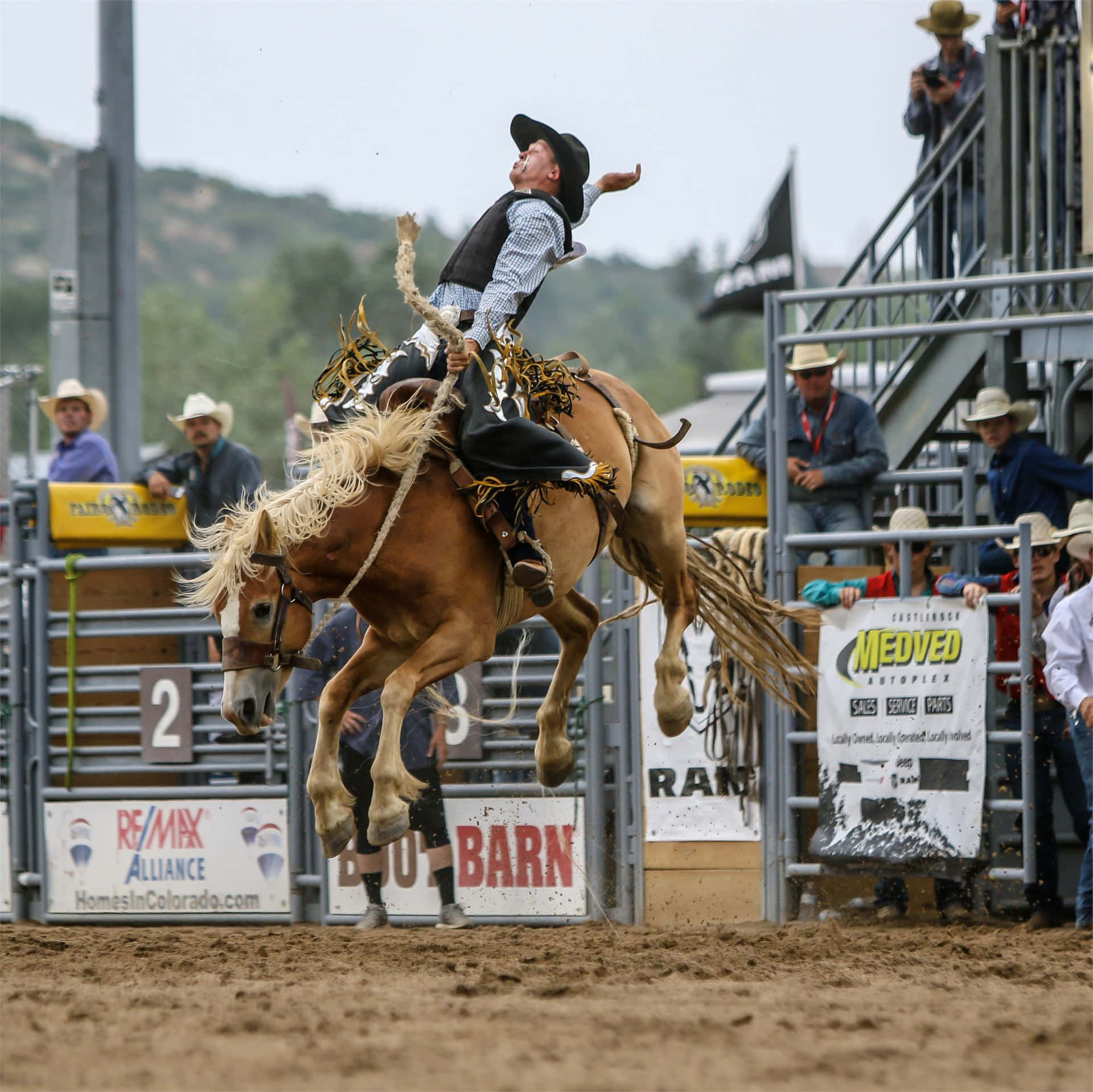 Le Immagini Del Team Roping