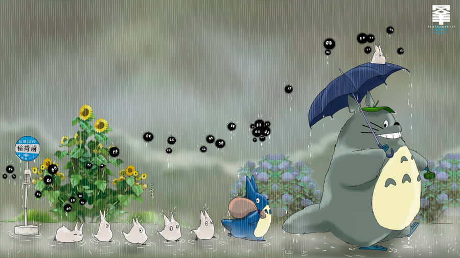 Le Immagini Di Totoro