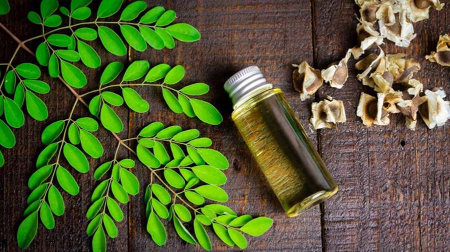 Moringa-oliefles met verse bladeren en gedroogde peulen op houten achtergrond — Leaves Achtergronden
