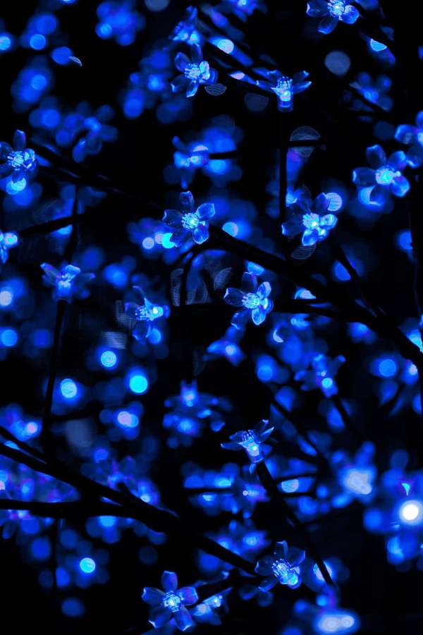 Luces de flores azules brillantes en ramas oscuras con fondo bokeh suave. — Led Azul Fondos de pantalla