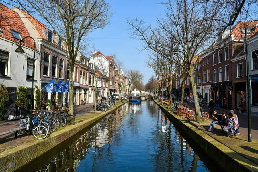 Leiden Wallpaper