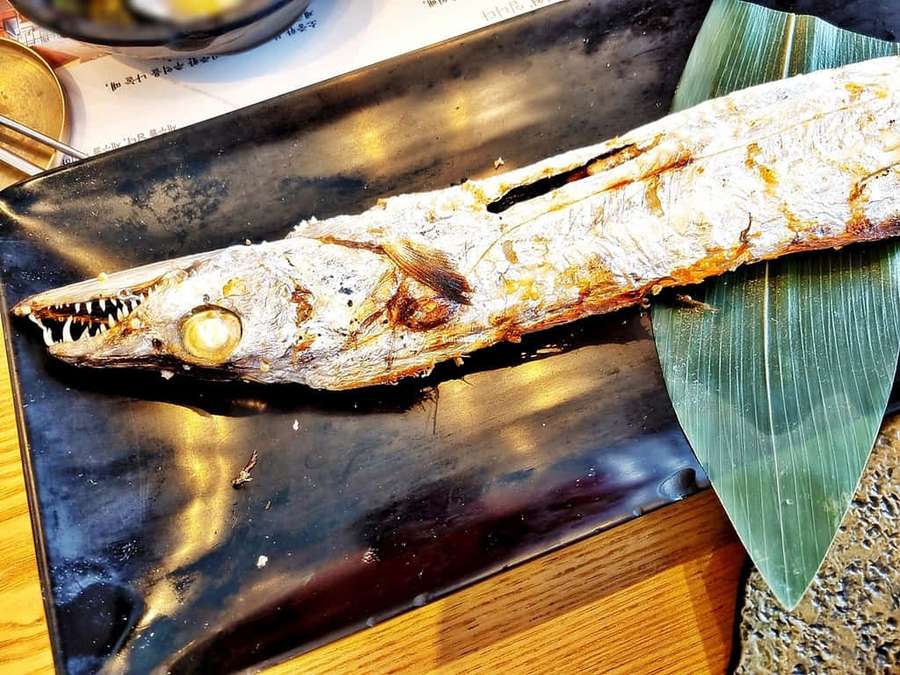 Grillattu kala, jolla on terävät hampaat, mustalla lautasella vihreän lehden kanssa. — Leikkuri kala Taustakuvat