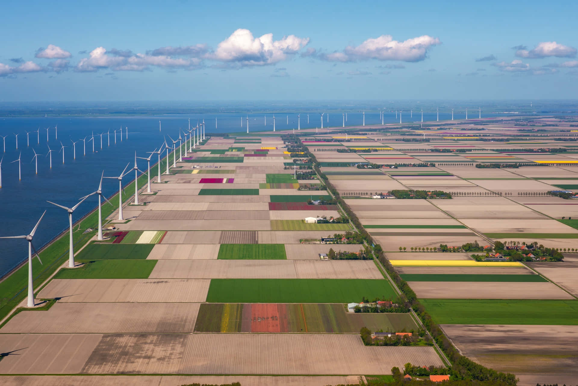 Lelystad Achtergrond