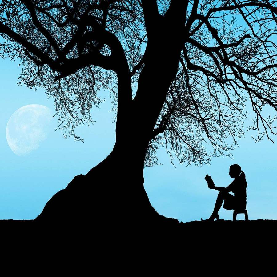 Pessoa lendo sob uma árvore à noite com uma lua cheia. — Lendo Papéis de Parede