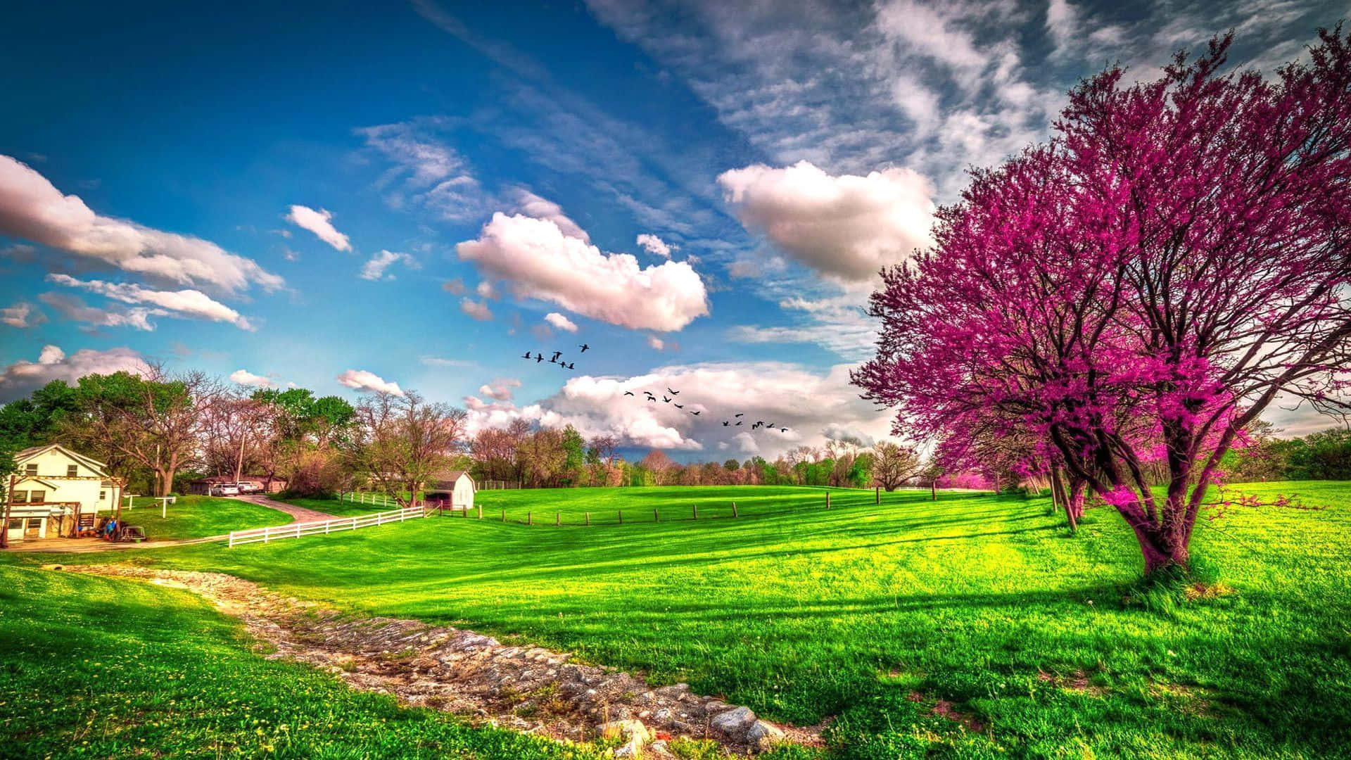 Lente Landschap Achtergrond