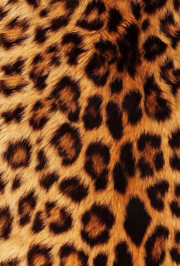 Leopard fur pattern with golden brown and black rosettes — Leopard Pattern Picture
