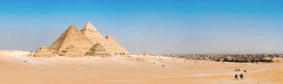 Les Pyramides De Gizeh Fond d'écran