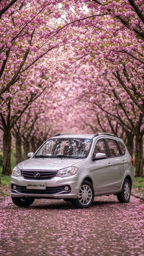 A silver Lifan 320 parked in a cherry blossom tunnel, spring romantic scene. — Lifan 320 Wallpaper