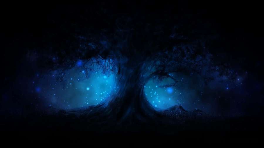 A glowing blue tree in a dark forest with sparkling lights. — Light Black Background