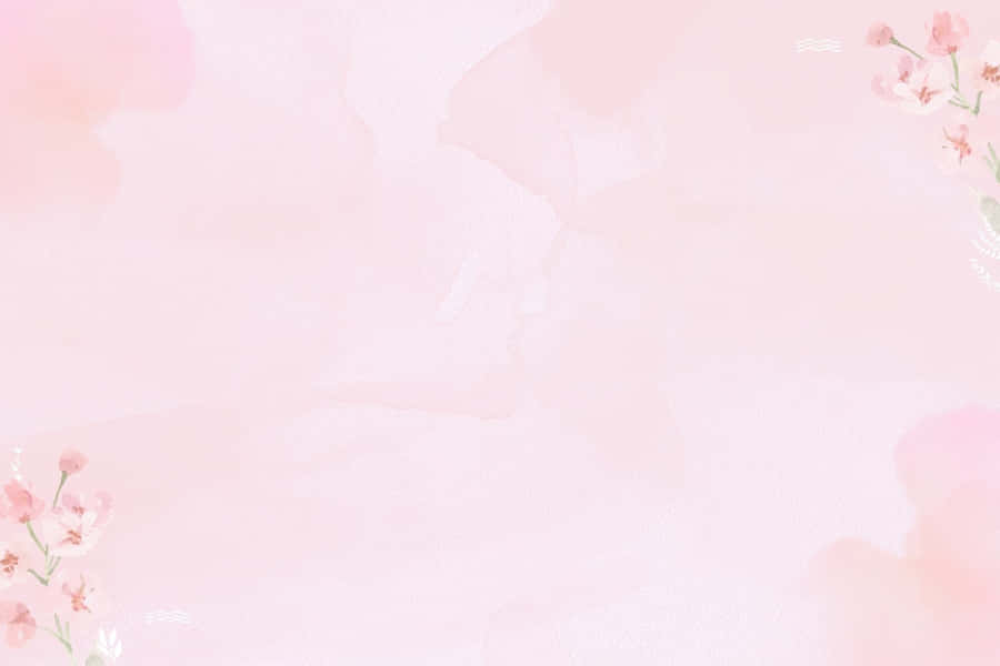 https://wallpapers.com/images/featured/light-pink-background-jvh44qngvii3xuju.jpg