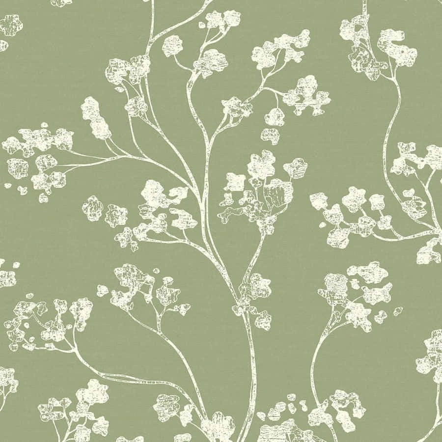 Sage flower HD wallpapers  Pxfuel