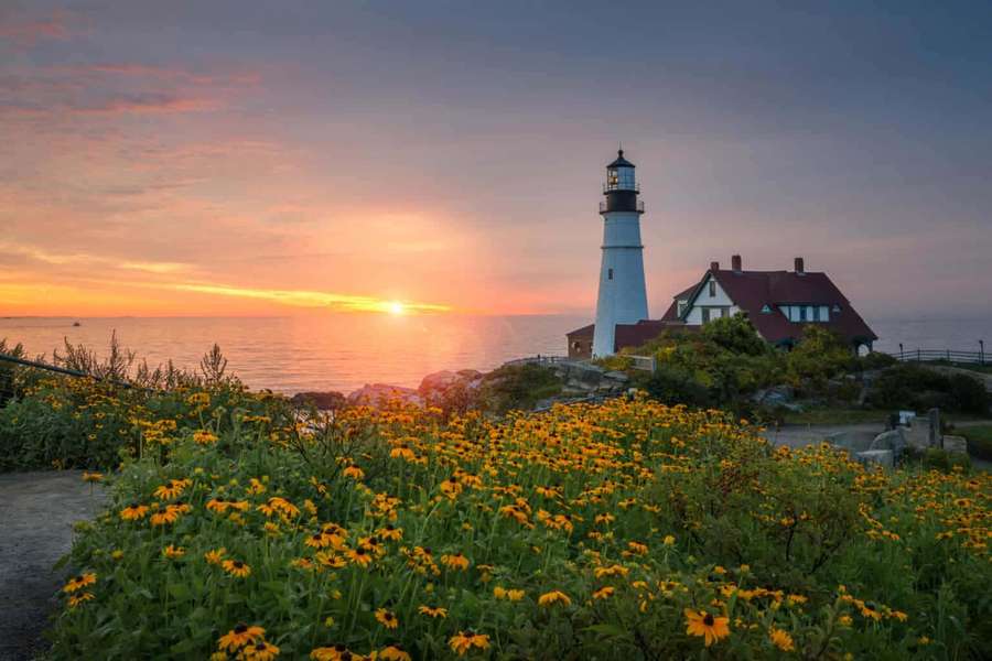 Lighthouse and keeper's house at sunset with yellow flowers in foreground. — Lighthouse Picture