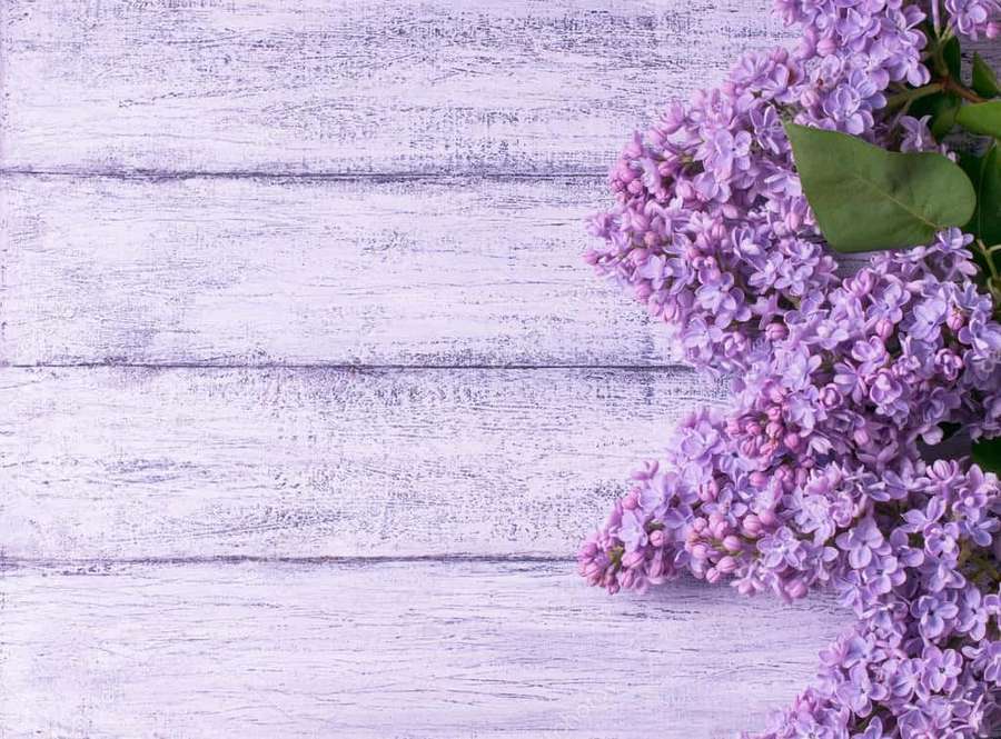 Purple lilac flowers on a light purple wooden background. — Lilac Background