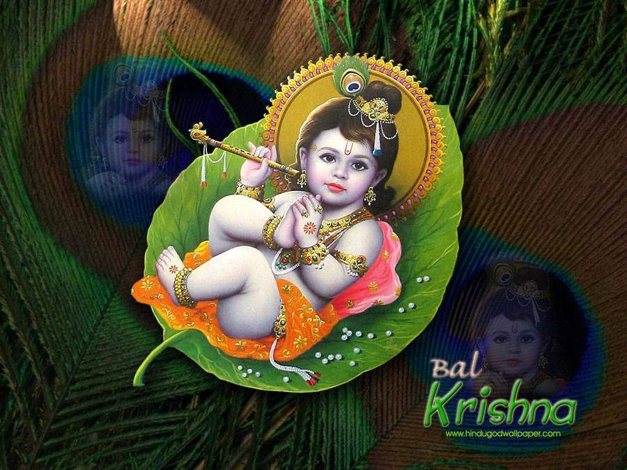 Bebé Krishna tocando la flauta en una hoja rodeado de plumas de pavo real. — Lindo Krishna Fondos de pantalla