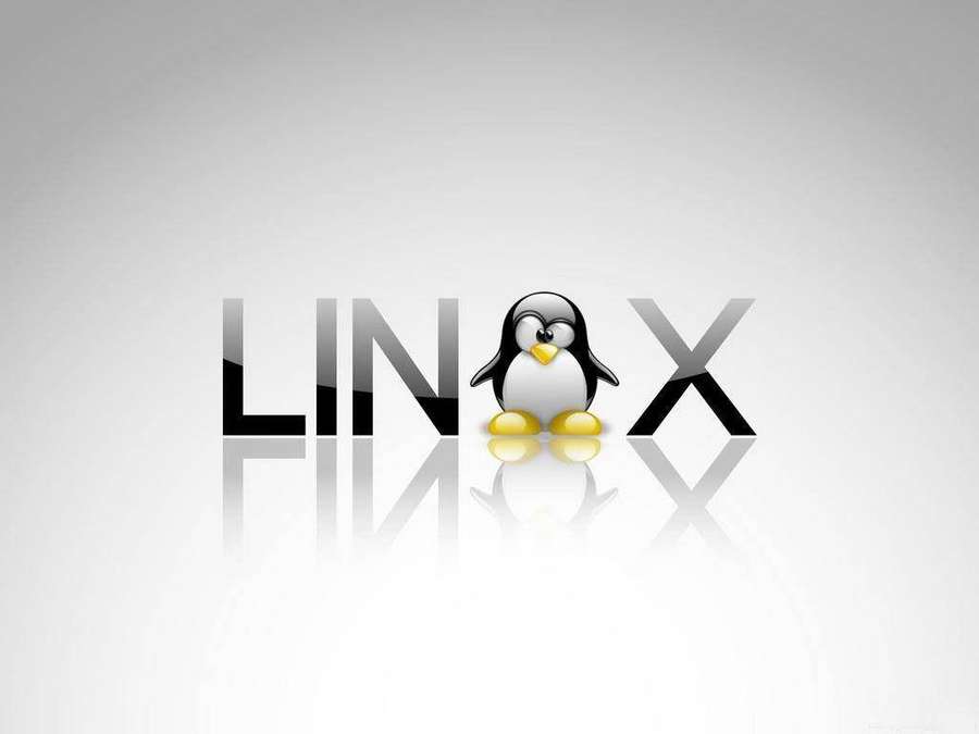 Linux penguin mascot standing between the letters of the word Linux on a reflective surface. — Linux Desktop Background