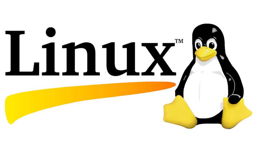 Linux logo with penguin mascot and yellow-orange swoosh. — Linux Picture