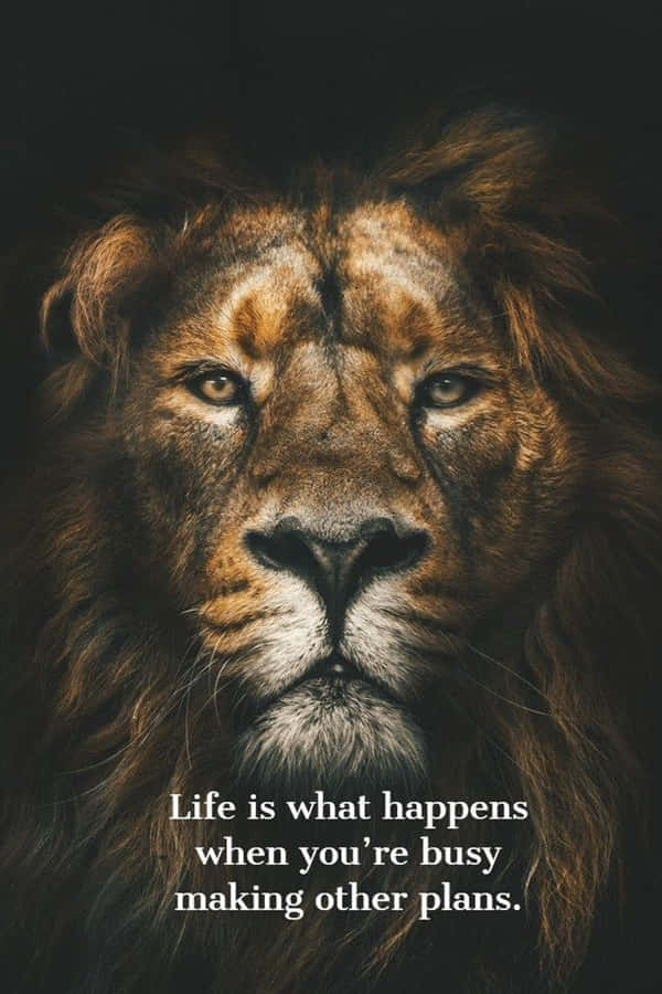 Lion Quotes Achtergrond