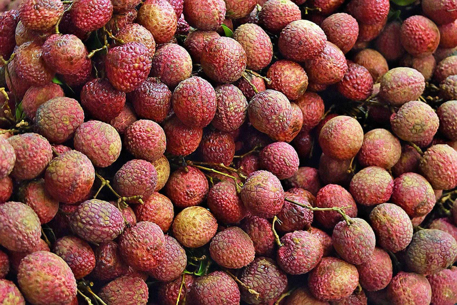 Litchi Achtergrond