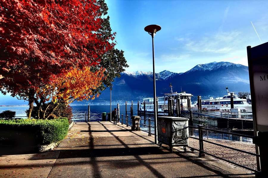 Autumn leaves line a lakeside path with boats and snowy mountains in the background. — Locarno Wallpaper