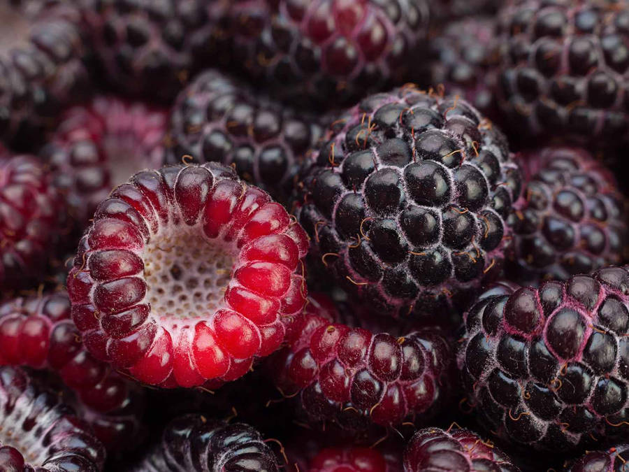 Loganberry Fond d'écran