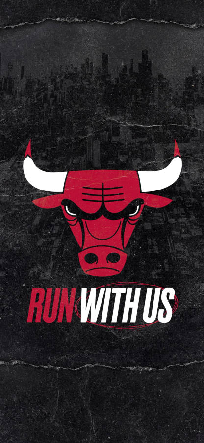 Logotipo Do Bulls Papel de Parede