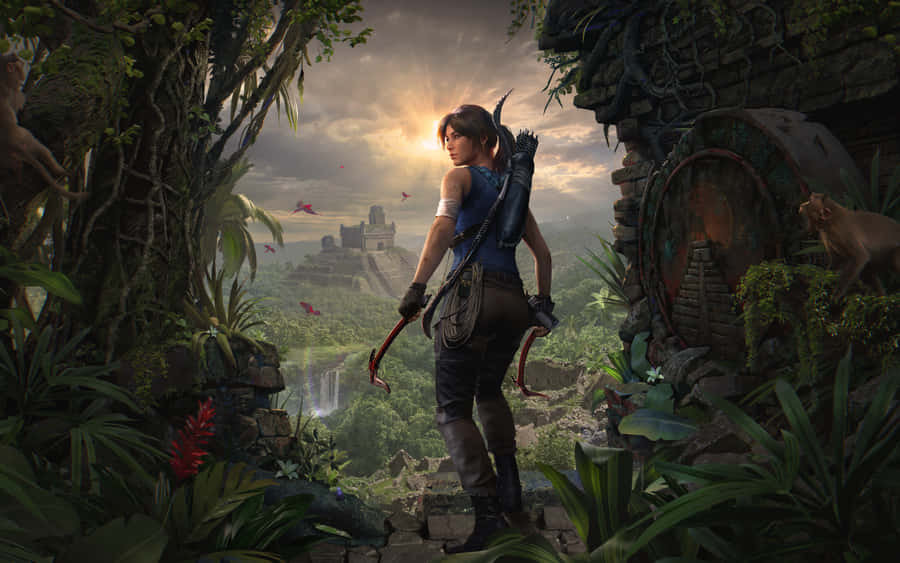 L'ombra Dello Sfondo Di Tomb Raider