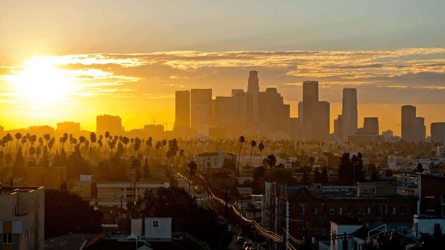 Sunset over Los Angeles skyline with palm trees and city buildings in golden light. — Los Angeles Background