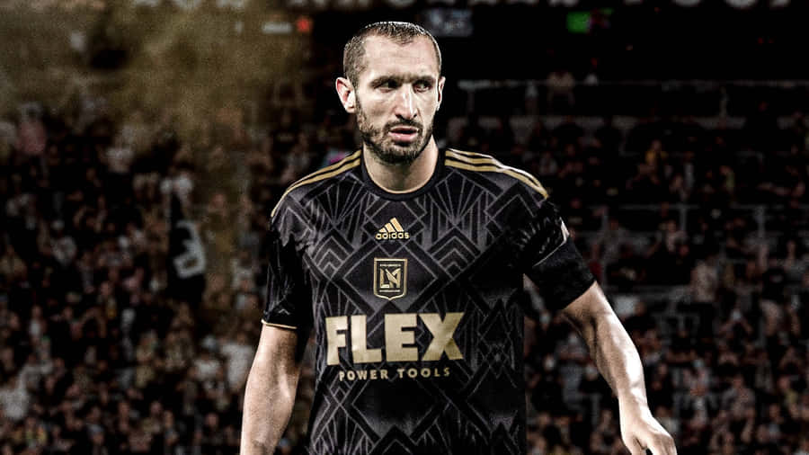 Los Angeles Fc Fond d'écran