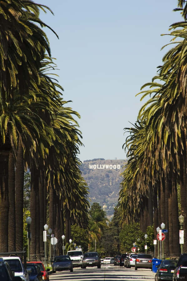 Los Angeles Iphone Fond d'écran