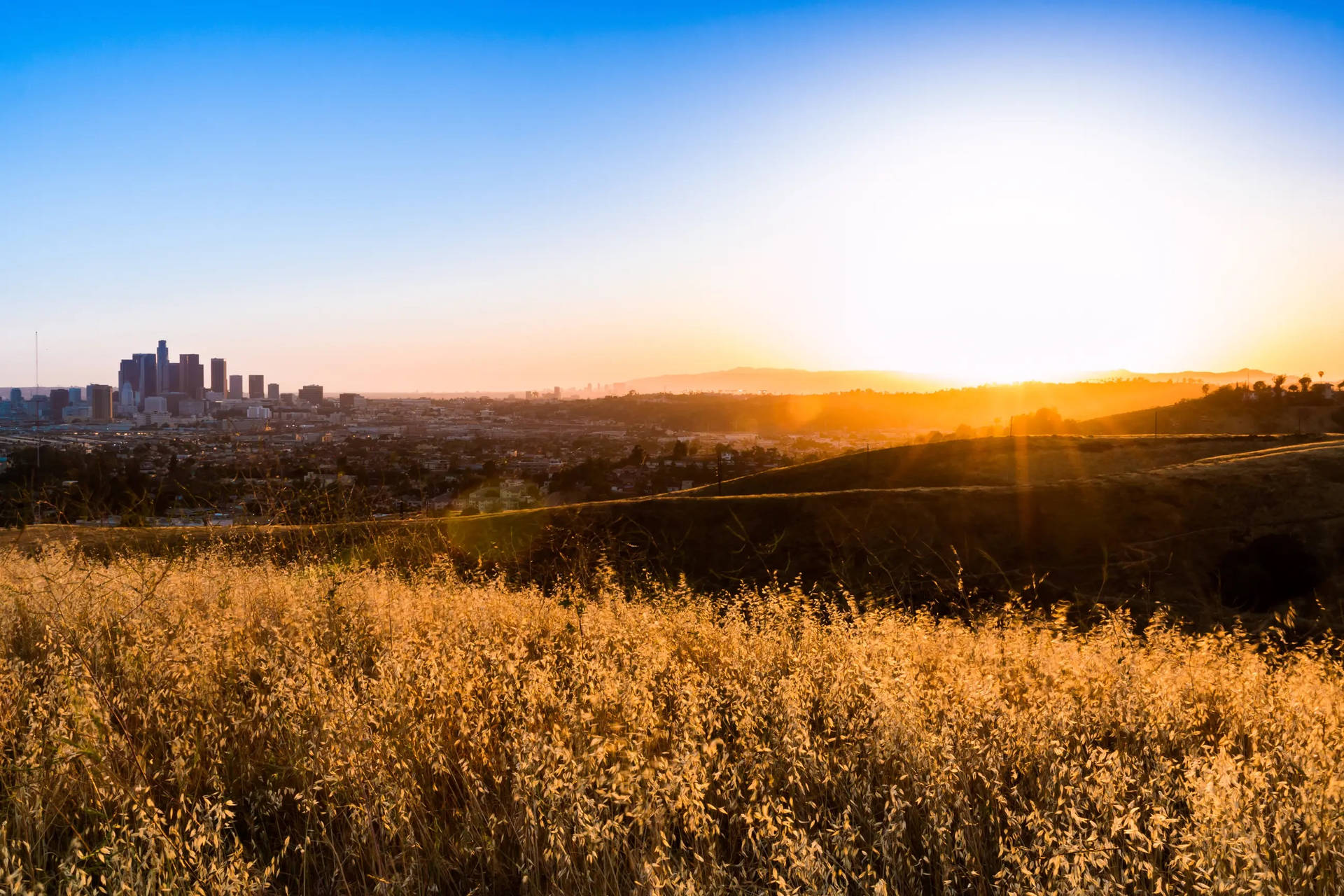 Los Angeles Zonsondergang Achtergrond