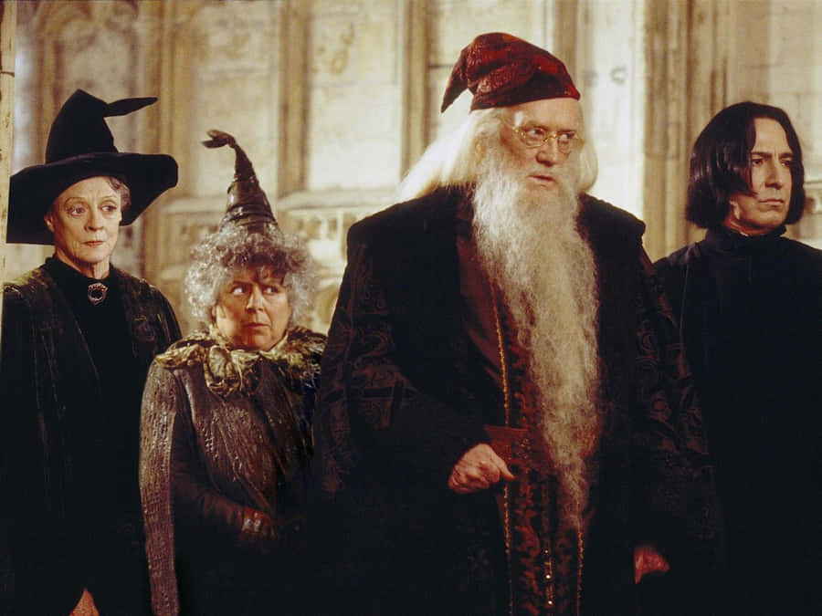 Los Profesores De Hogwarts Fondo de pantalla