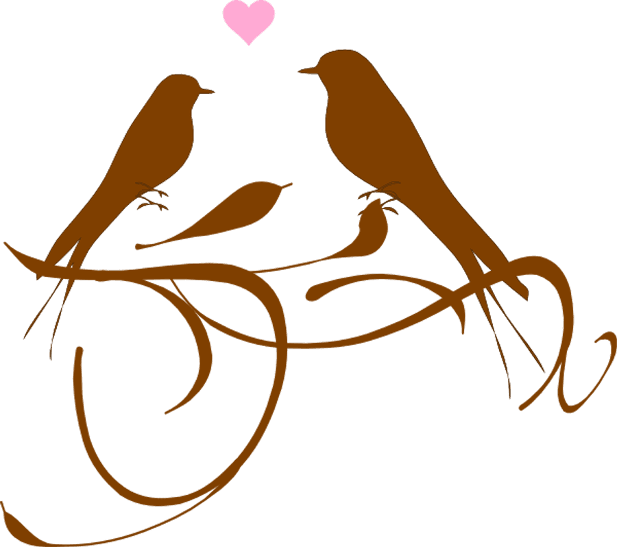 Love Birds Png