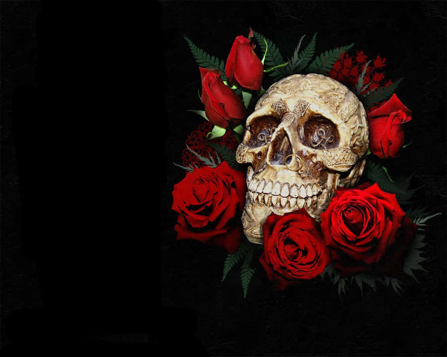 Love Skulls And Roses Wallpaper