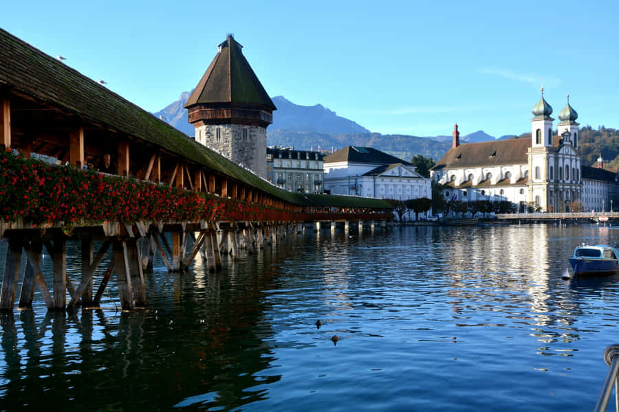 Lucerne Fond d'écran