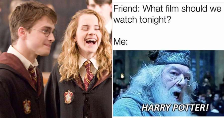 Harry-Potter-Figuren lachen, während Dumbledore 'HARRY POTTER!' in einem Meme ruft. — Lustiger Harry Potter Wallpaper