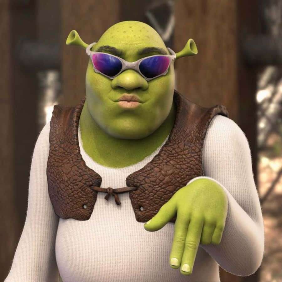 Shrek mit Sonnenbrille zeigt mit selbstbewusstem Ausdruck. — Lustiger Shrek Wallpaper