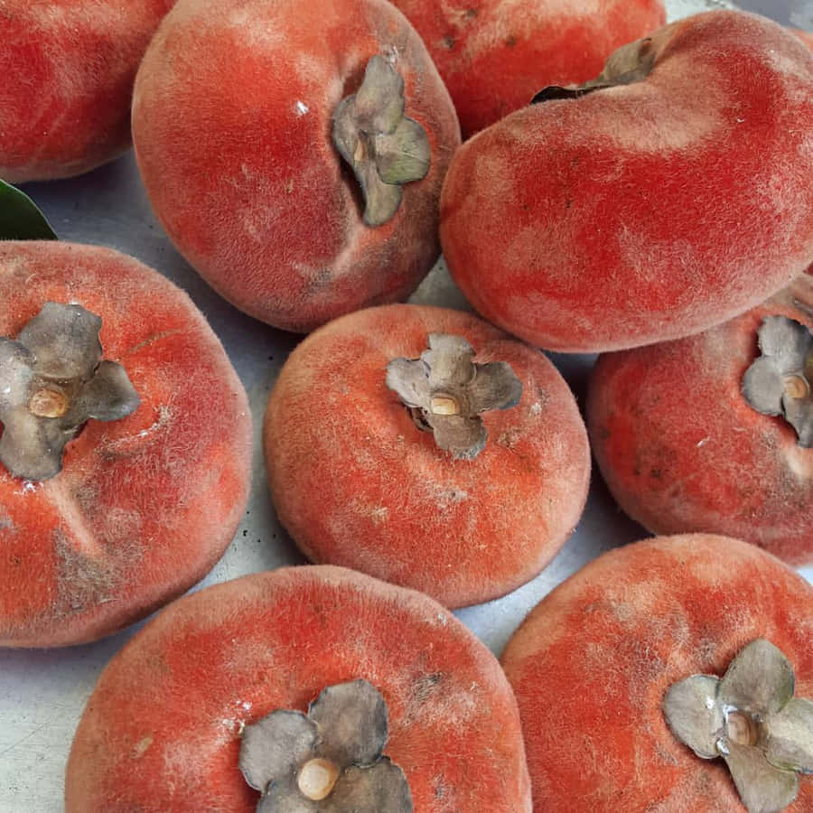 Maçã De Veludo Papel de Parede