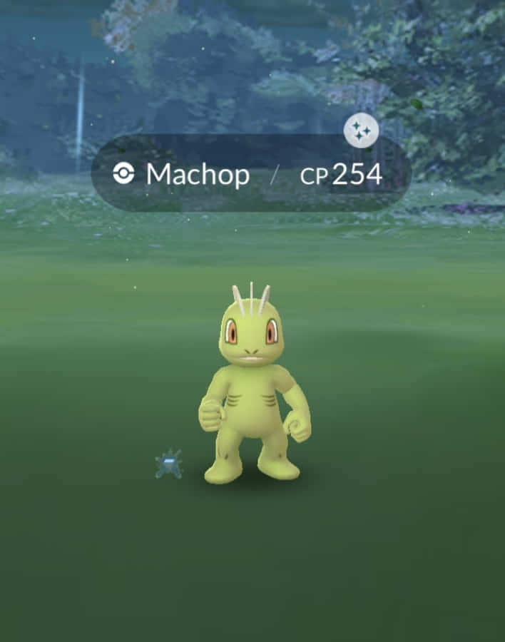 Machop Bakgrunnsbildet