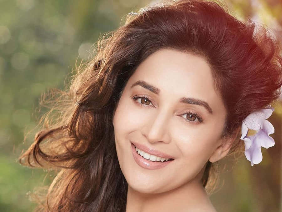 Madhuri Dixit Achtergrond