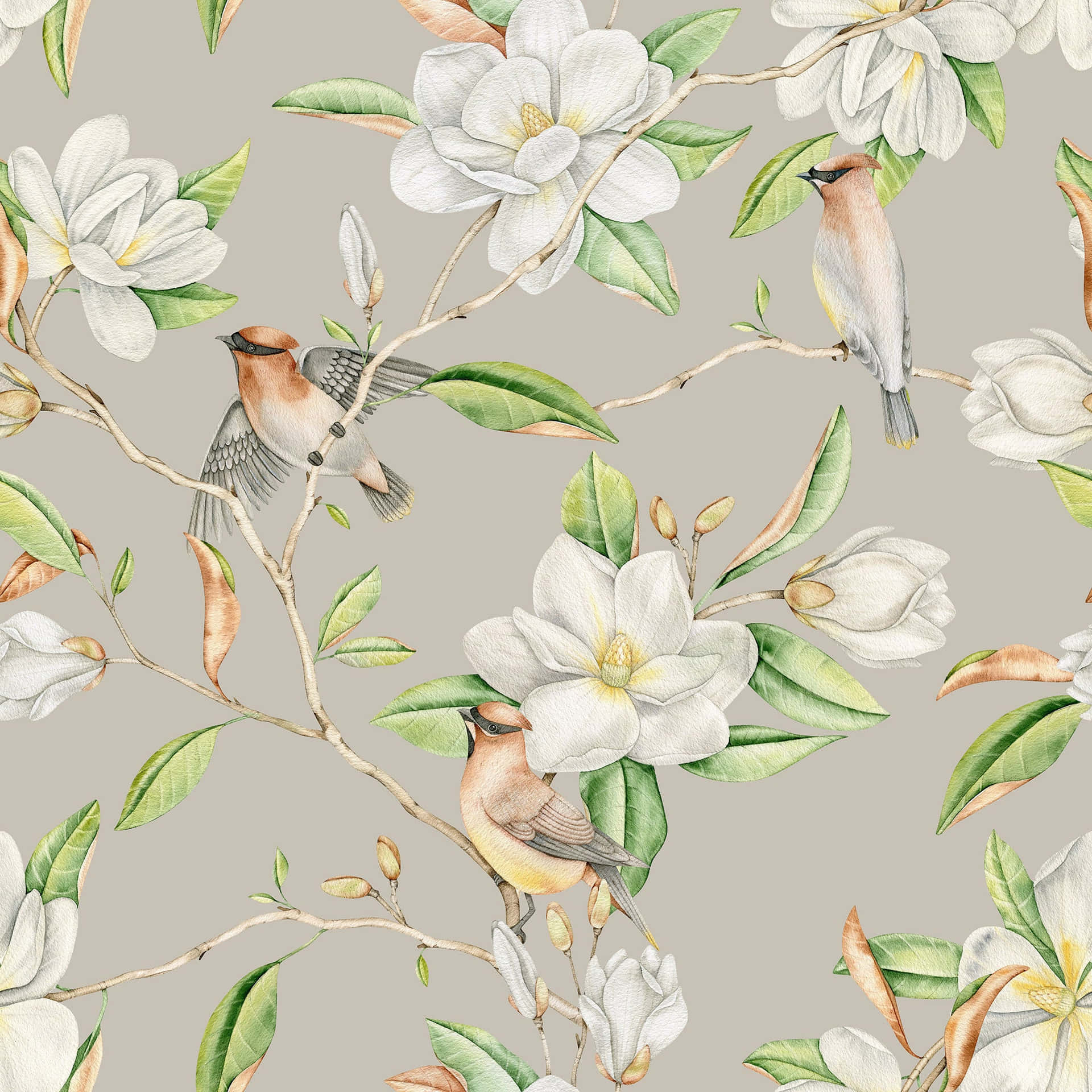 Magnolia Blomst Wallpaper
