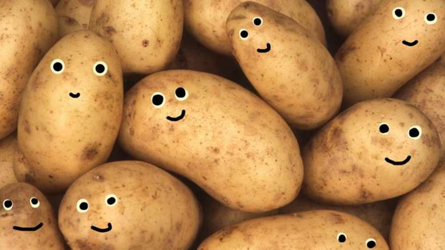 Perunoita, joilla on piirretyt hymyilevät kasvot, näyttävät onnellisilta. — Makeissa perunoissa Taustakuvat