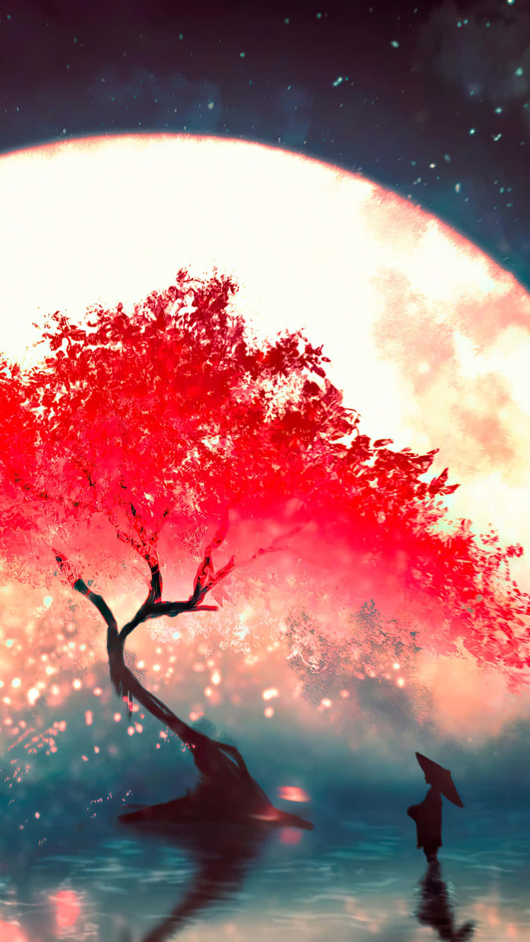 Malam Bunga Sakura Wallpaper