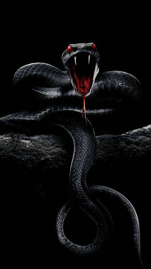 A black snake with glowing red eyes and fangs bared in a threatening pose. — Mamba Wallpaper