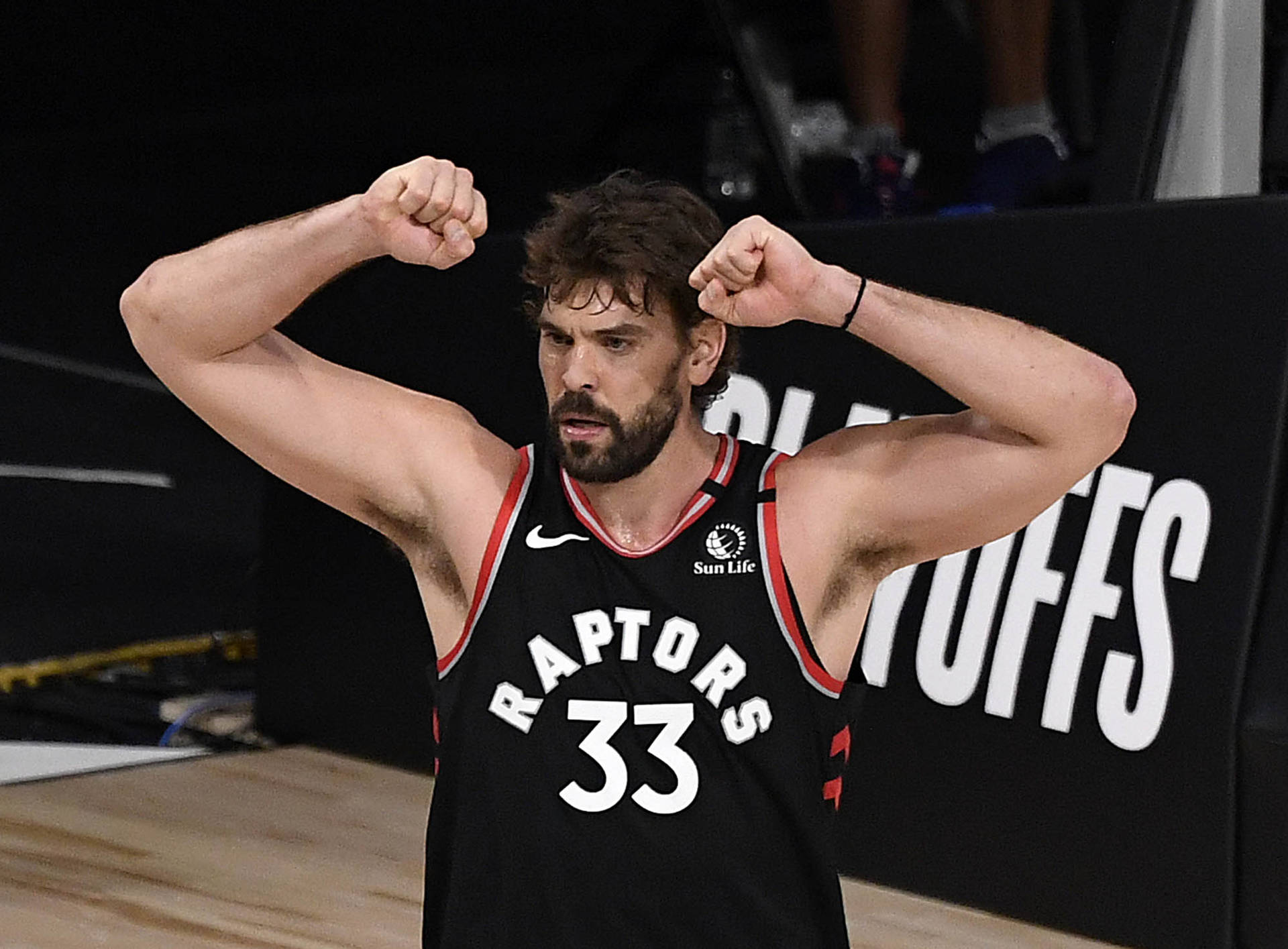 Marc Gasol Taustakuva