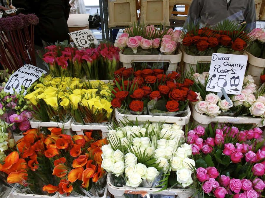 Marché Aux Fleurs Fond d'écran