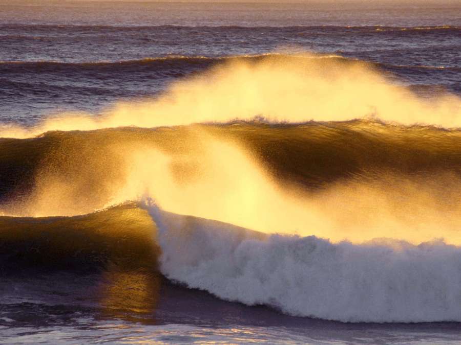 Ola del océano bañada por el sol rompiendo con espuma blanca y rocío dorado. — Mareas Fondos de pantalla