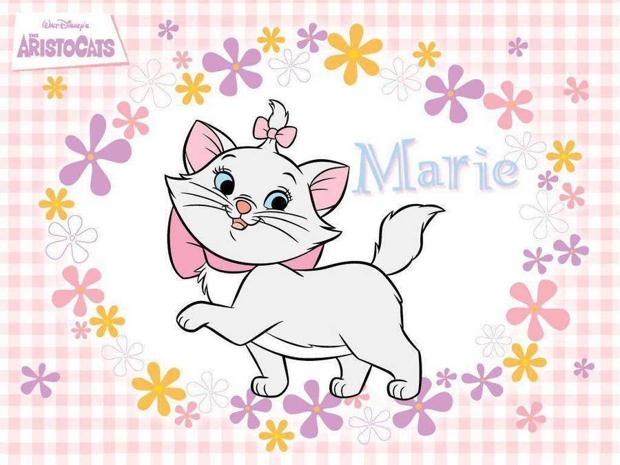 Marie Cat Billeder