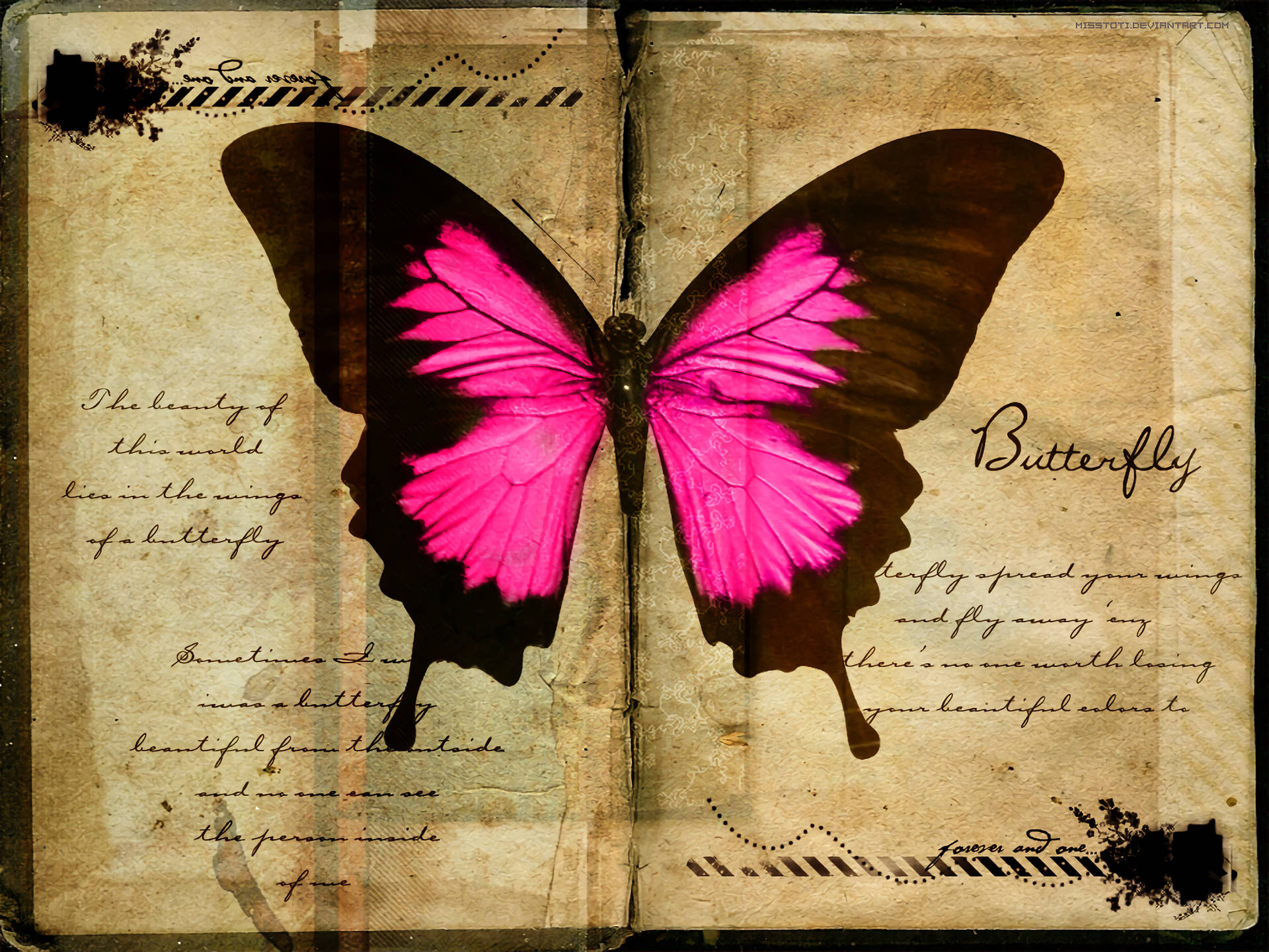Mariposa Rosa Fondo de pantalla