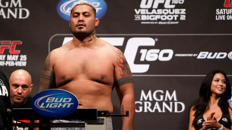 Mark Hunt Fond d'écran