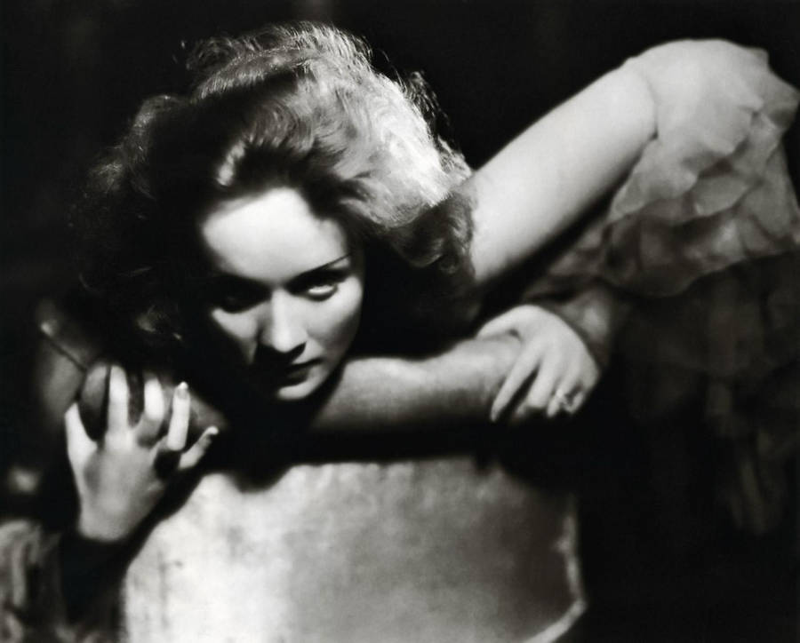 Marlene Dietrich Bilder